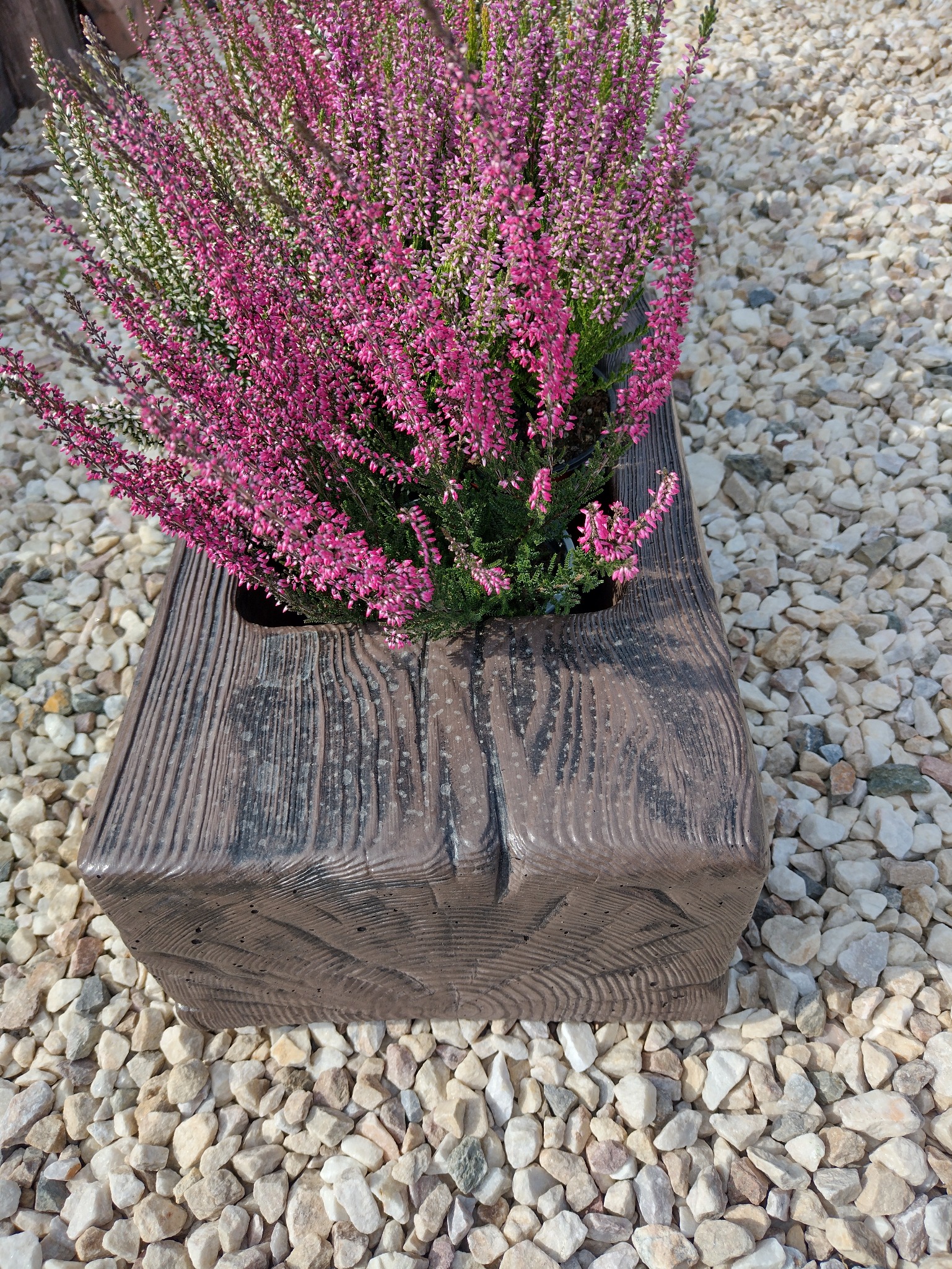 Kwadratowa donica z betonu architektonicznego imitująca drewno, wypełniona wrzosami w odcieniach różu i bieli, otoczona drobnymi kamieniami.