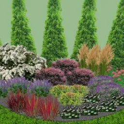 Wizualizacja rabaty kwiatowej z różnorodnymi roślinami: iglaki kolumnowe w tle, krzewy kwitnące na biało i różowo, trawy ozdobne oraz byliny o fioletowych i czerwonych liściach, otoczone obrzeżem...