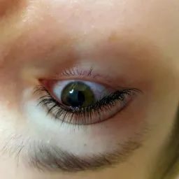 Zbliżenie na oko z wyraźnie przedłużonymi, czarnymi rzęsami, widoczne delikatne włoski brwi i zielona tęczówka.