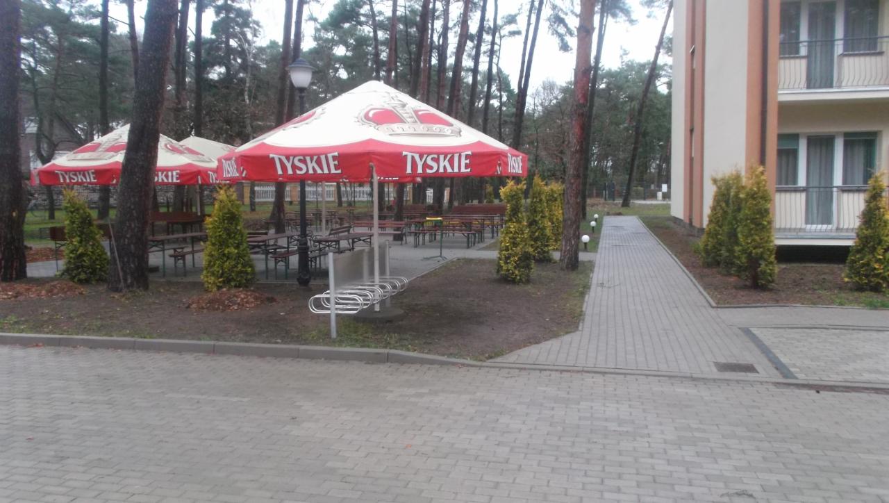 Ułożona kostka brukowa na placu przed budynkiem z parasolami Tyskie, drzewami i ścieżką z kostki. Widoczny stojak na rowery i oświetlenie.