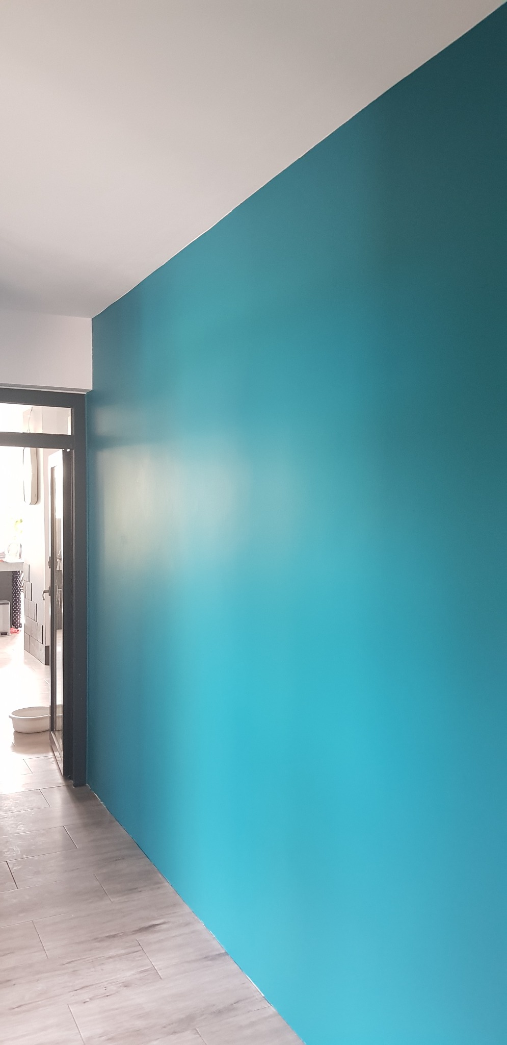 Świeżo pomalowana na turkusowo ściana w mieszkaniu w Pelplinie, widok z perspektywy podłogi z płytek imitujących drewno, z otwartymi drzwiami w tle.