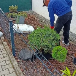 Pracownik w niebieskiej bluzie i czerwonych rękawicach pielęgnuje ogród, rozsypując korę wokół roślin w donicach, widoczne worki z ziemią i kora obok ogrodzenia.