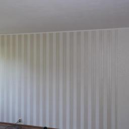 F.h.u.magbud - Tapetowanie