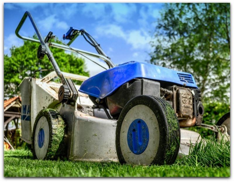 Używana kosiarka spalinowa z niebieskimi elementami, z resztkami trawy na kołach, stoi na trawniku w Lutomiersku, na tle drzew i błękitnego nieba.