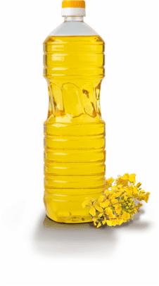 Butelka złocistego oleju rzepakowego z żółtymi kwiatami rzepaku u podstawy, na białym tle.