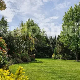 Gordo studio zakładanie ogrodów Warszawa i okolice Gordo Studio Weronika Gładka