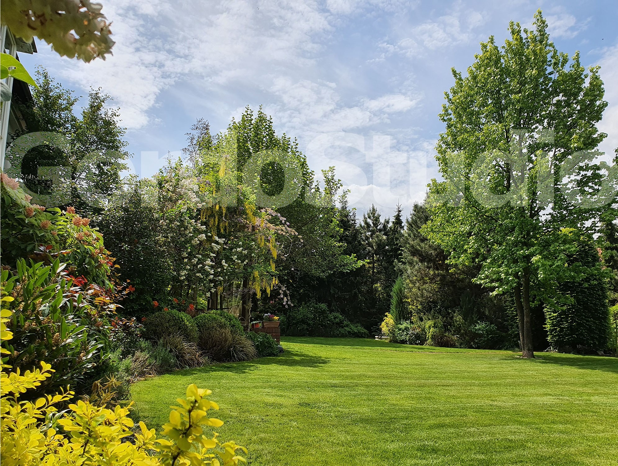 Gordo studio zakładanie ogrodów Warszawa i okolice Gordo Studio Weronika Gładka