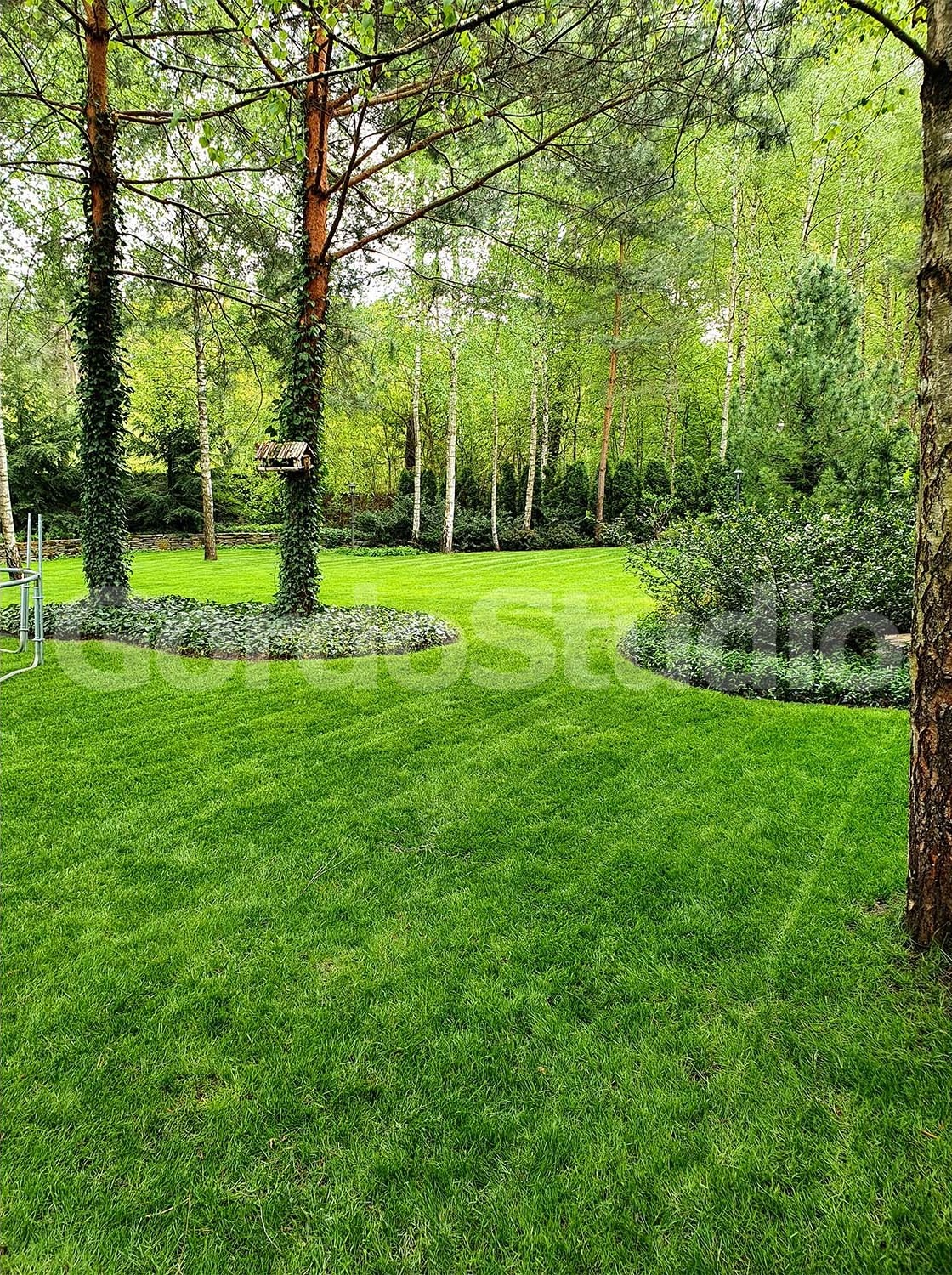 Ogród leśny Trawniki z rolki Gordo Studio Weronika Gładka