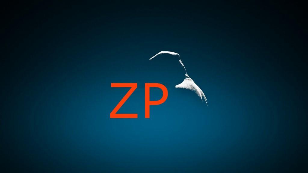 Zlecenia Programista