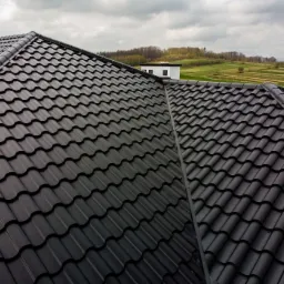 Nowoczesny dach z czarnej blachodach&oacute;wki modułowej, widok z g&oacute;ry na tle pag&oacute;rkowatego krajobrazu i białego budynku.