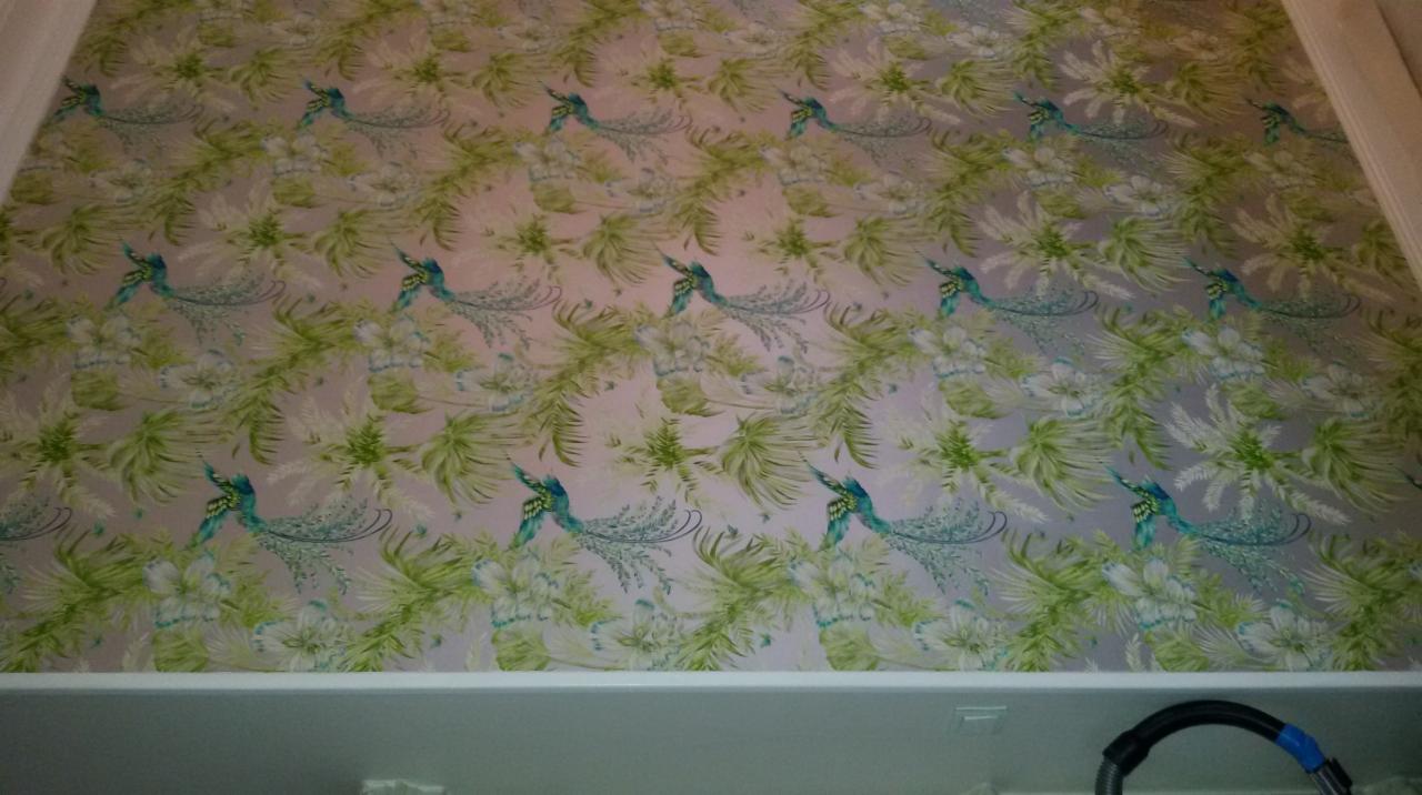 Ściana pokryta tapetą w delikatne, pastelowe odcienie zieleni i błękitu z motywem egzotycznych ptaków i roślin, widoczny fragment sufitu i dolnej części ściany.