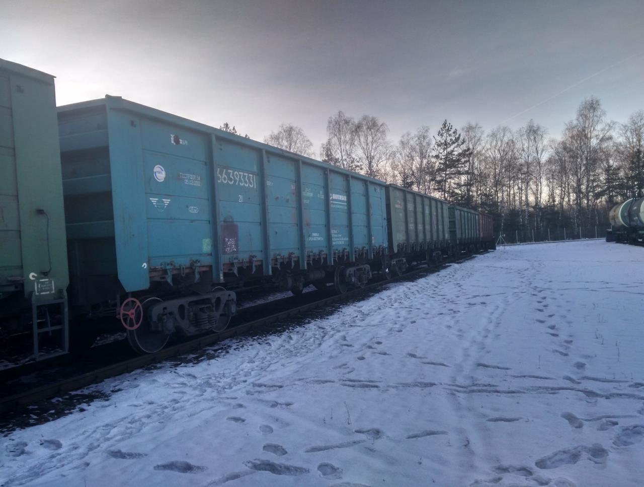 Wagony kolejowe towarowe, prawdopodobnie załadowane, stojące na zasypanym śniegiem torze, z numerem 56393331 widocznym na jednym z wagonów.