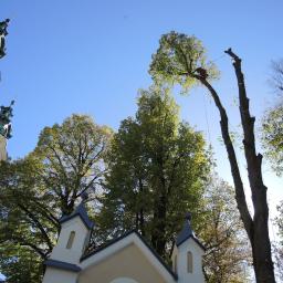 Wycinka drzew Stara Wieś