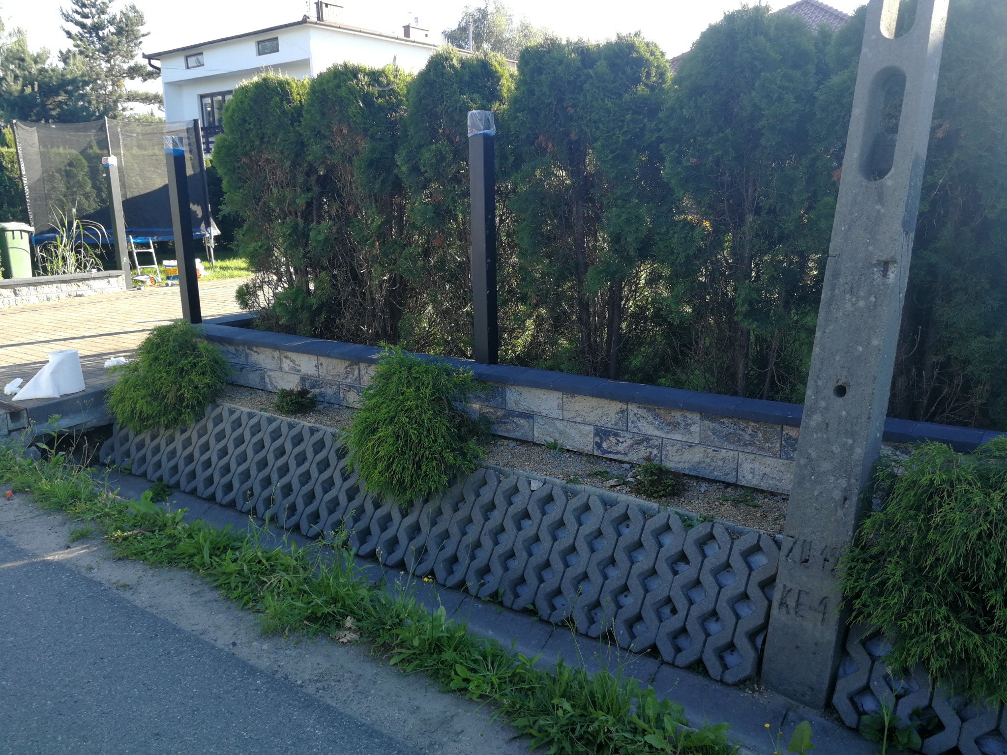 Niski murek oporowy z ażurowych betonowych pustaków, obsadzony roślinnością, z czarnymi słupkami ogrodzeniowymi w tle żywopłotu z tui.