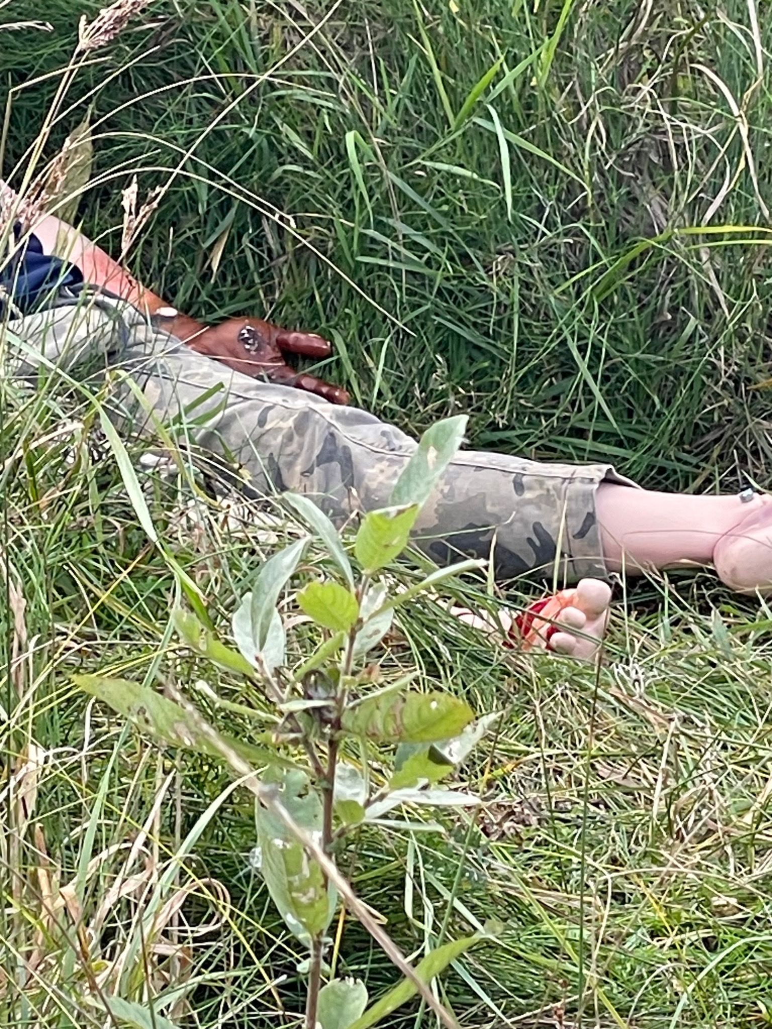 Manekin z symulowanymi obrażeniami leżący w trawie, używany podczas kursu pierwszej pomocy, widoczne realistyczne rany na ręce i nodze.
