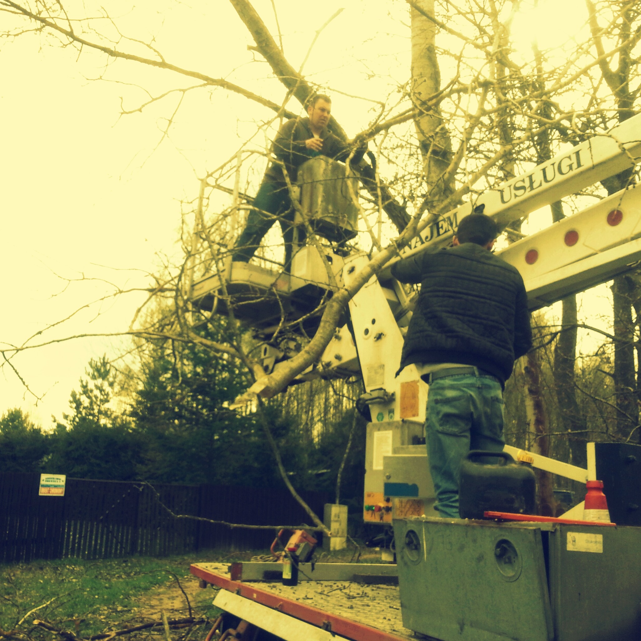 Pracownicy na podnośniku koszowym, usuwają gałęzie drzew. Widoczny sprzęt i teren zielony. Ujęcie z dołu, lekko żółte światło.