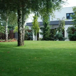 Zadbany trawnik przed nowoczesnym domem w Tarnowskich G&oacute;rach, z widocznymi brzozami i elementami architektury ogrodowej.