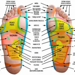 Ilustracja refleksologii st&oacute;p z zaznaczonymi strefami odpowiadającymi poszczeg&oacute;lnym organom i częściom ciała, z podpisami w języku polskim.