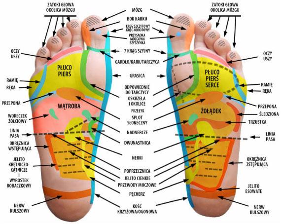 Ilustracja refleksologii stóp z zaznaczonymi strefami odpowiadającymi poszczególnym organom i częściom ciała, z podpisami w języku polskim.