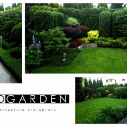 Kolaż prezentujący zadbany ogród z geometrycznie uformowanymi żywopłotami, kwitnącymi łubinami i równo przystrzyżonym trawnikiem, uzupełniony o logo firmy architektonicznej specjalizującej się...