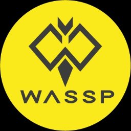 Wassp s.c. - Koszulki Męskie z Nadrukiem Kluczbork