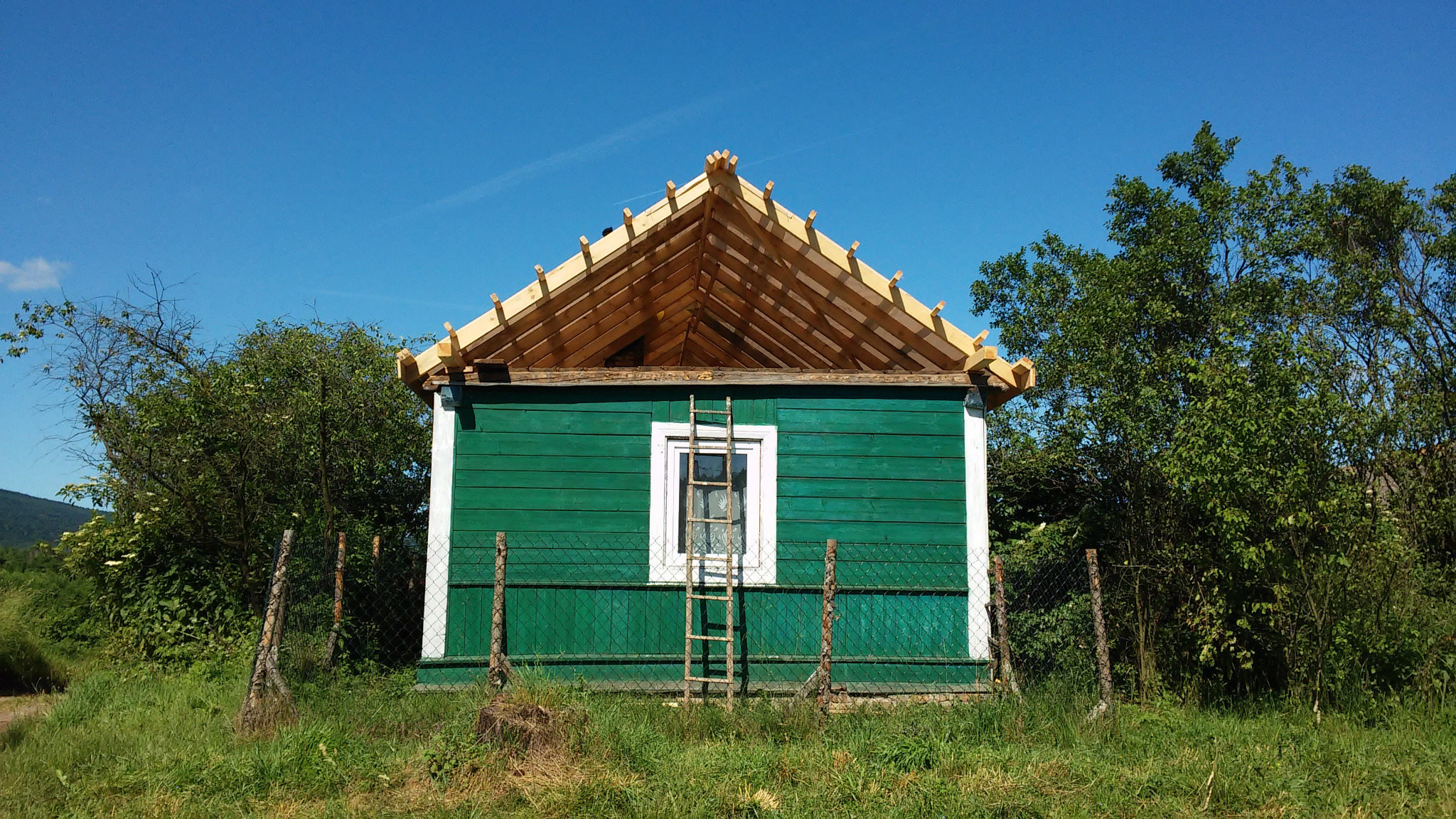 Zielony, drewniany budynek z odsłoniętą konstrukcją dachu i drabiną opartą o okno, otoczony zielenią i siatką ogrodzeniową.