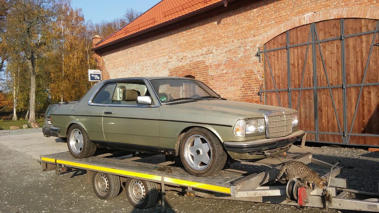 Zielony Mercedes-Benz Coupe na niskopodwoziowej lawecie, z kotem bengalskim na wciągarce, na tle ceglanego budynku z drewnianymi wrotami.