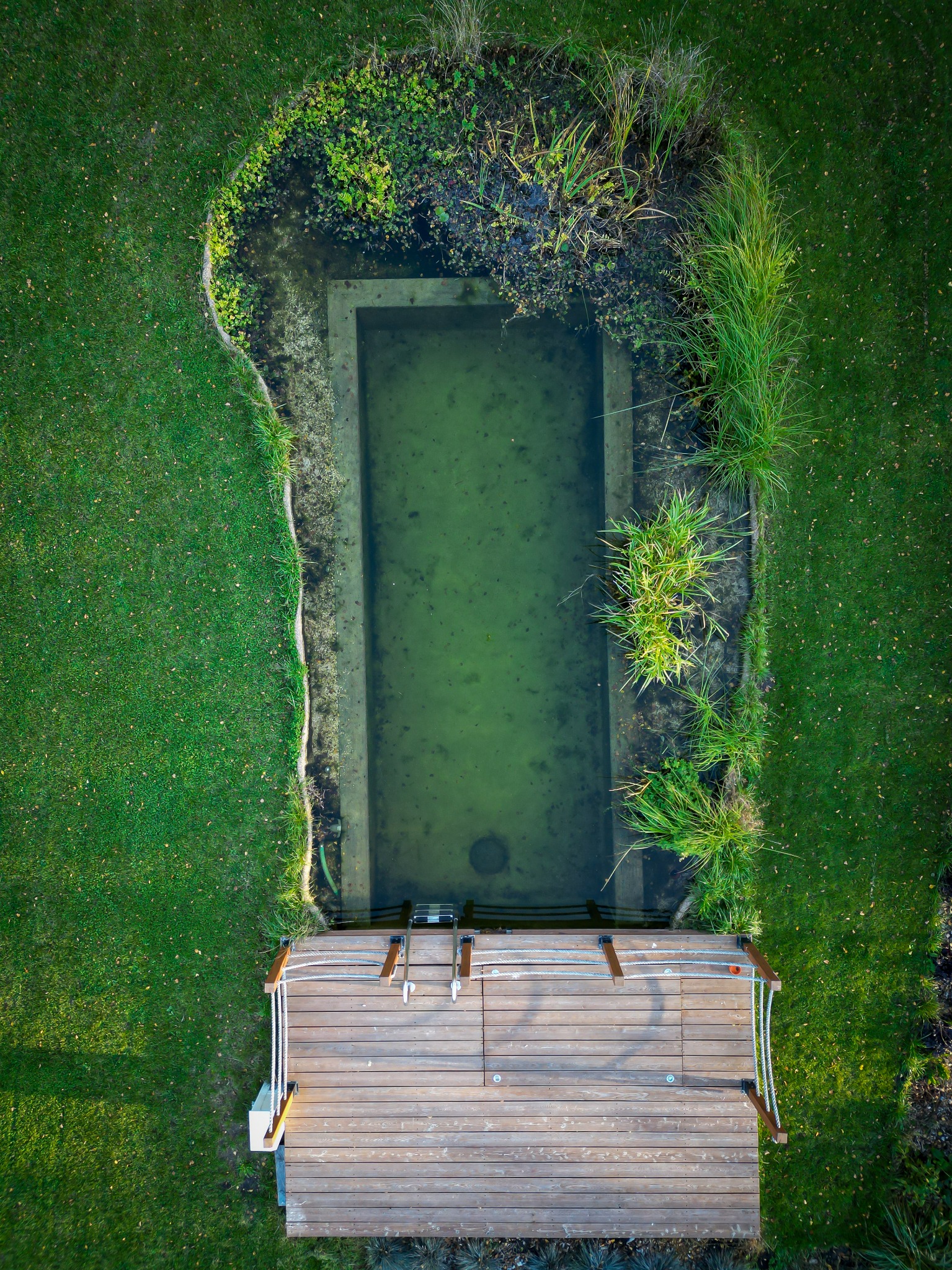 Widok z góry na naturalny basen w ogrodzie z drewnianym pomostem i roślinnością wodną w strefie brzegowej.