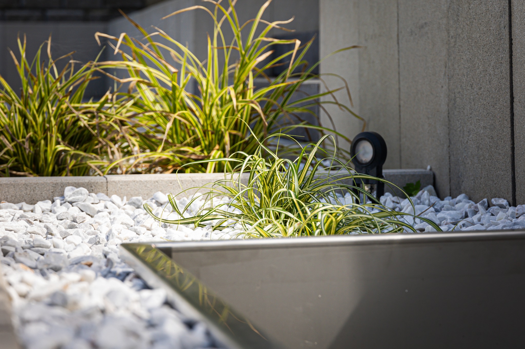 Dekoracyjny ogródek z trawami ozdobnymi, białymi kamieniami i oświetleniem punktowym. Metalowa obudowa rabaty w pierwszym planie. Minimalistyczny design.