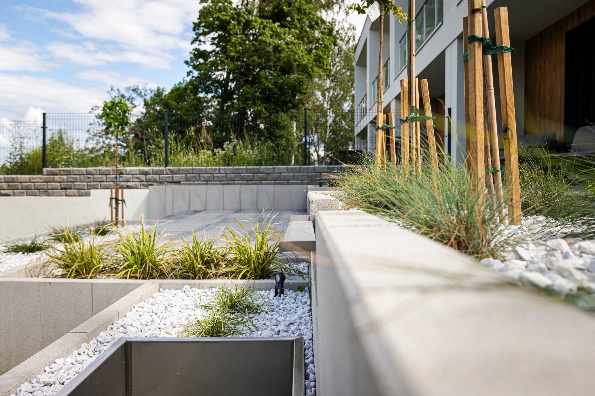 Nowoczesny ogród z trawami ozdobnymi i białymi kamieniami, minimalistyczna architektura budynku w tle, świeżo posadzone drzewa zabezpieczone drewnianymi palikami.