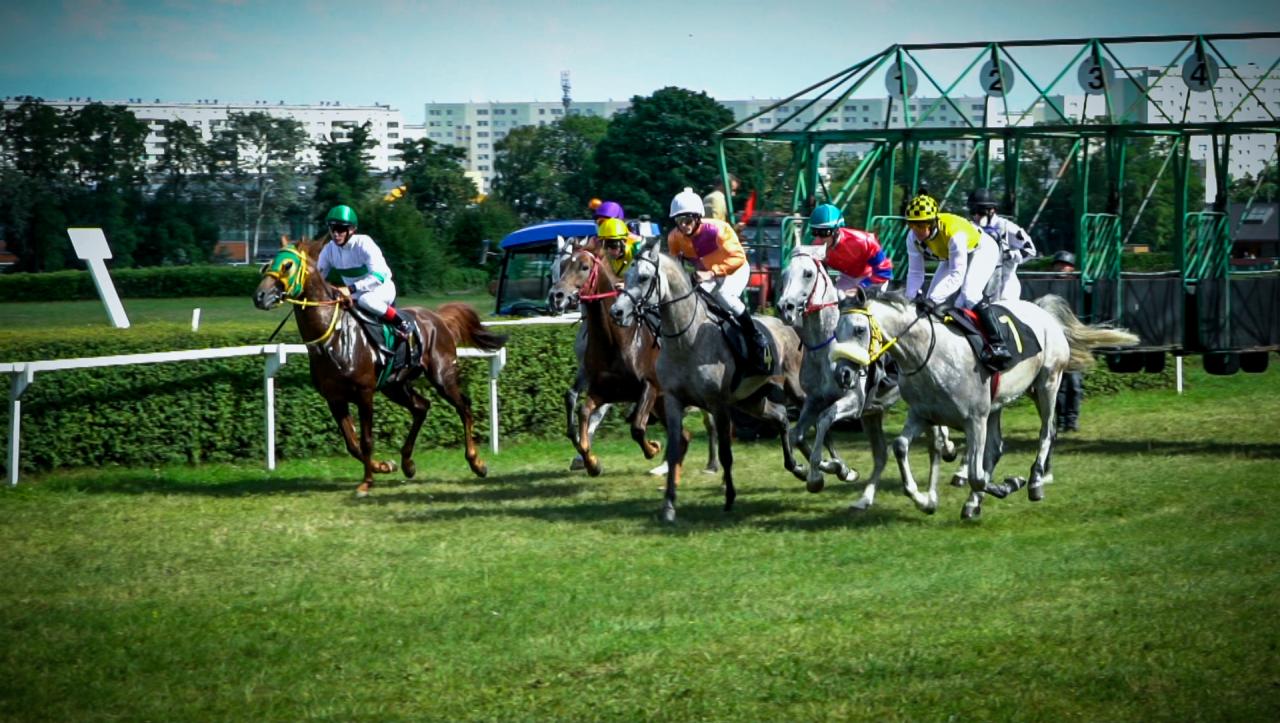 Wyścig konny: kilka koni z jeźdźcami w kolorowych strojach biegnie po zielonej trawie, na drugim planie budynki i brama startowa z numerami.