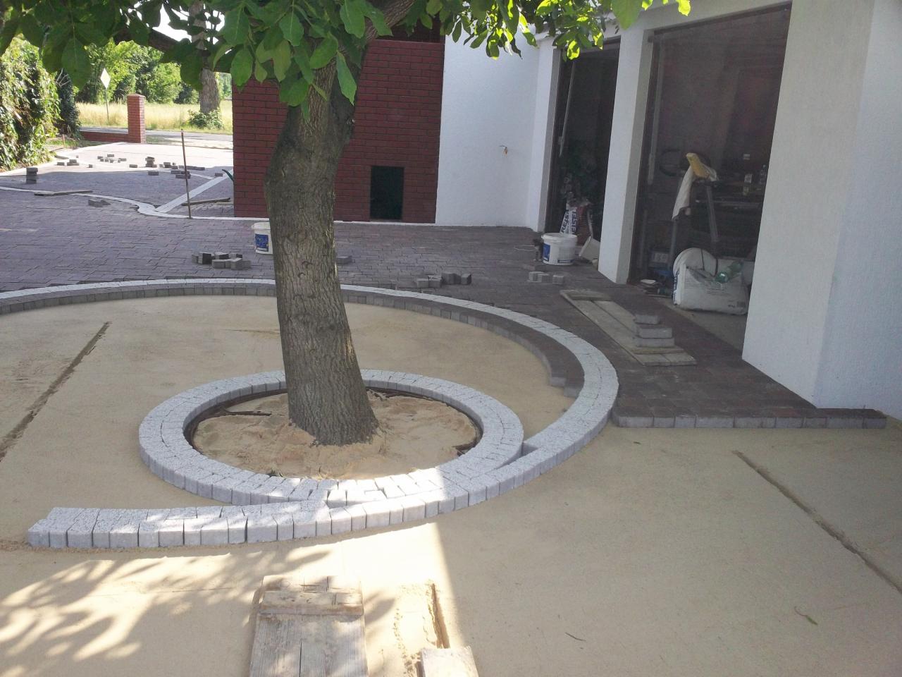 Układanie kostki granitowej wokół drzewa na podwórku, widoczne niedokończone obrzeże z jasnej kostki i ułożona nawierzchnia w tle, pozostałości piasku na powierzchni.