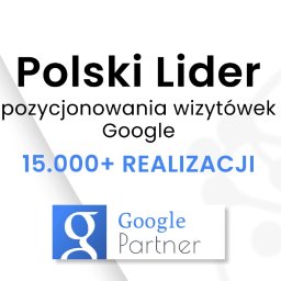 SEOmotive Agencja Interaktywna - Oficjalny Partner Google - Grafika: Polski Lider pozycjonowania wizytówek Google, ponad 15.000 realizacji, logo Google Partner na białym tle z szarymi elementami graficznymi.