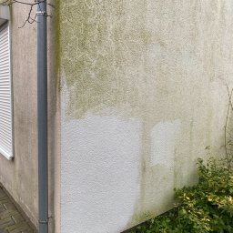 Mycie dachów Luboń 1