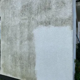 Fragment elewacji budynku z widoczną różnicą po czyszczeniu. Lewa strona pokryta zabrudzeniami, prawa czysta, ukazująca efekt mycia.