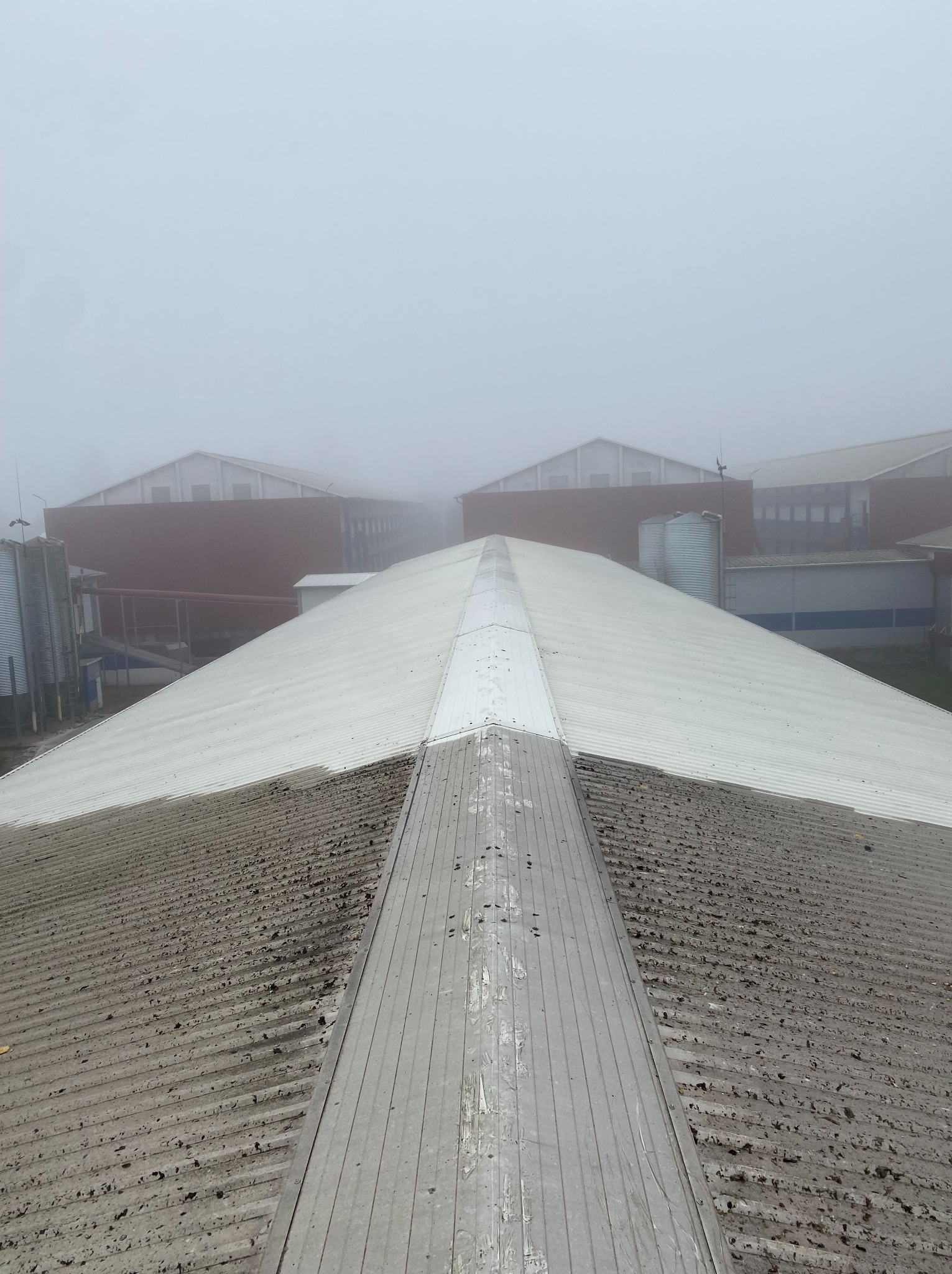 Zabrudzony dach przemysłowy z blachy trapezowej, częściowo pokryty mchem i zanieczyszczeniami, w tle zamglone budynki gospodarcze i silosy.