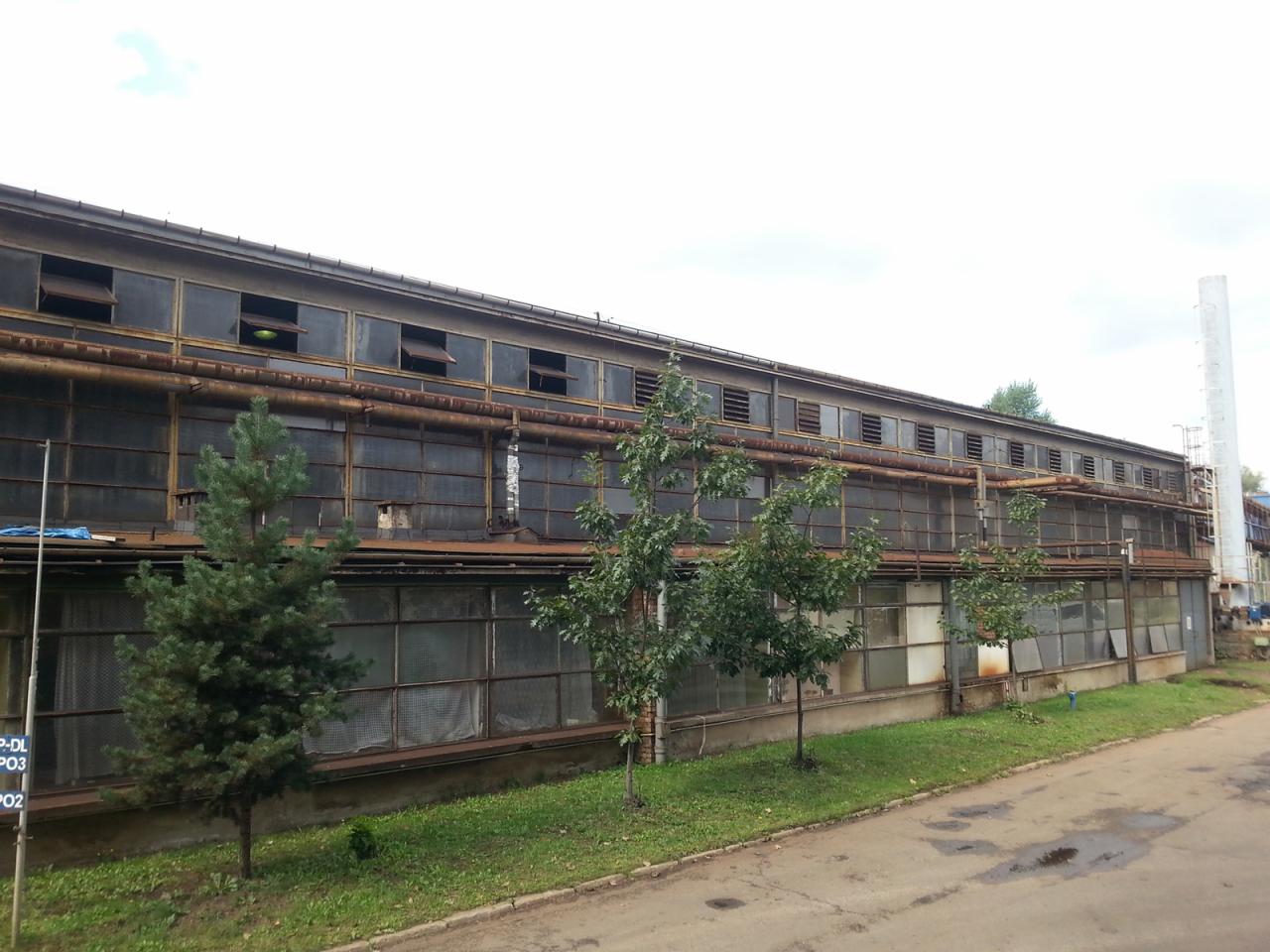 Zewnętrzny widok na duży, stary budynek przemysłowy z rzędami okien i rdzewiejącymi rurami, z młodymi drzewami posadzonymi wzdłuż fasady i chodnikiem na pierwszym planie.