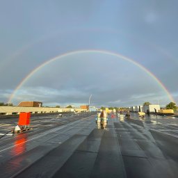 ART-DACH Dawid Mikołajczak - Neumunster