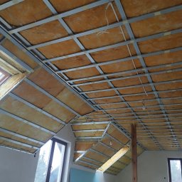 Płyta karton gips Bartniczka 1