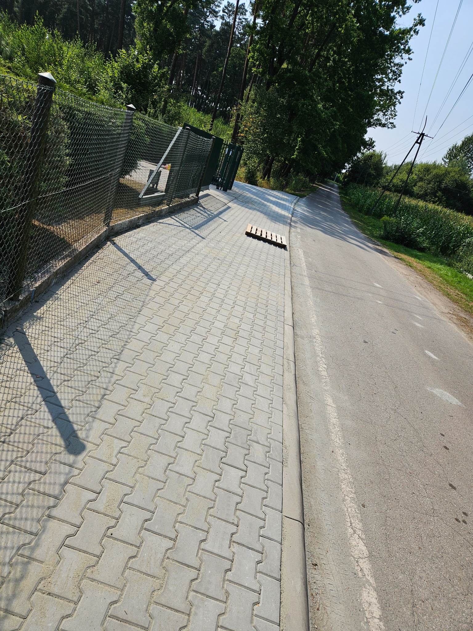 Szara kostka betonowa ułożona wzdłuż chodnika i ogrodzenia z siatki. W tle zieleń drzew i droga. Na kostce leży paleta.