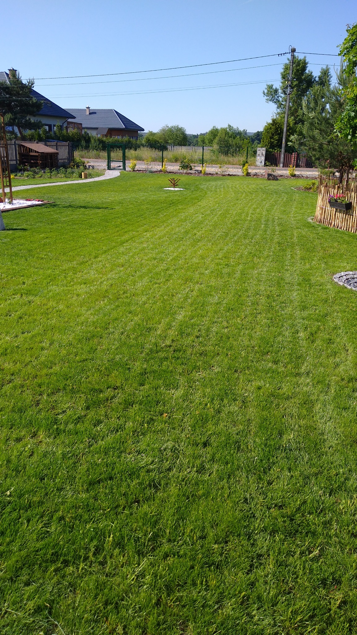 Perfekcyjnie skoszony trawnik z widocznymi pasami, z małym drzewkiem pośrodku, ogrodzeniem w tle i dekoracyjnymi elementami z kamieni i bambusa po bokach.