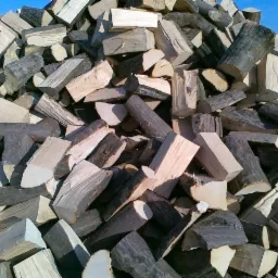 Stos pociętego drewna opałowego o różnej grubości, ułożonego na zewnątrz pod błękitnym niebem, widoczna siatka ogrodzeniowa w tle.