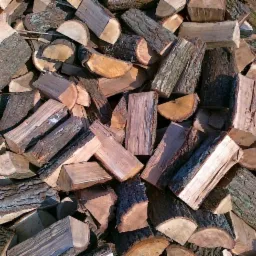 Stos pociętego drewna z wyraźną korą, przygotowanego do palenia w kominku, oświetlonego naturalnym światłem.