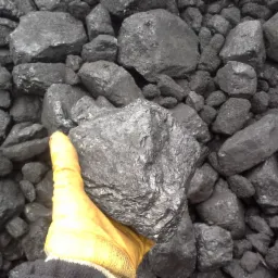 Węgiel Orzech MARCEL