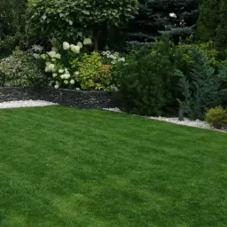 Pielęgnacja ogródków przydomowych