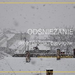 Deliś Transport Grodzisk Mazowiecki 4