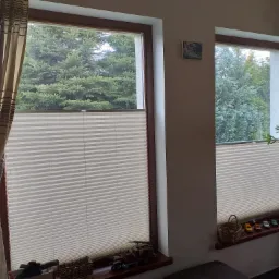 Dwa okna z plisowanymi osłonami, widok na zieleń, dekoracje na parapecie i zasłony po bokach.