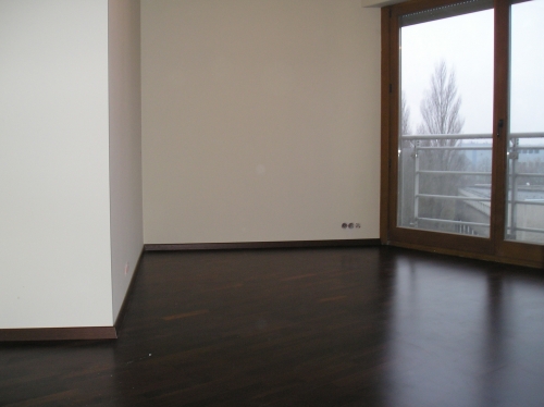 Ciemna, lśniąca podłoga z desek w pustym pokoju z dużym oknem balkonowym, widok na szare niebo i drzewa w tle.