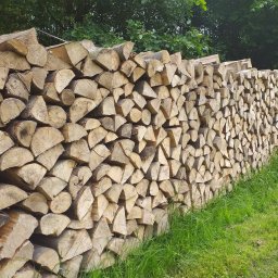 FHU Forest - Dostawca Drewna Leboszowice