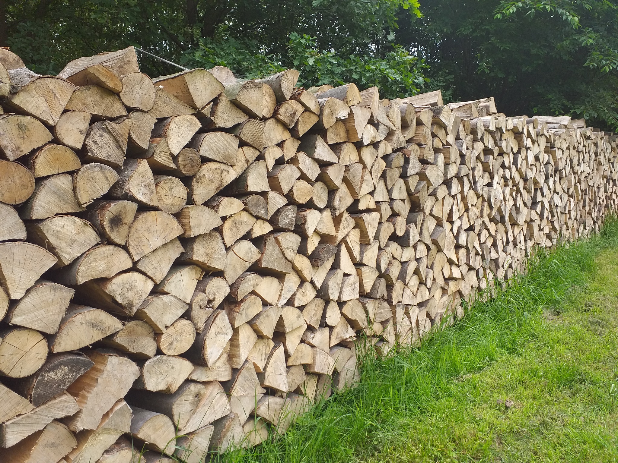 Równy stos pociętych klocków drewna ułożonych wzdłuż trawnika i pod drzewami.